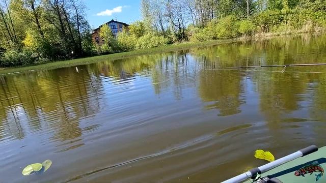 Соревнование кто больше поймает щуки на воблер! Микро PAL (часть первая) Озеро Щучье смотреть онлайн