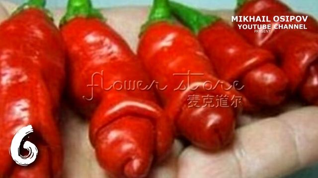 НЕОБЫЧНЫЕ РАСТЕНИЯ ИЗ КИТАЯ ДЛЯ САДА И ОГОРОДА С АЛИЭКСПРЕСС / ЛУЧШЕЕ С АЛИЭКСПРЕСС смотреть онлайн