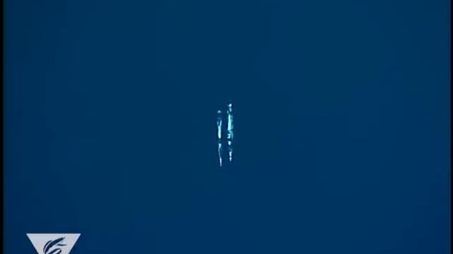 The telescopefish Gigantura indica смотреть онлайн