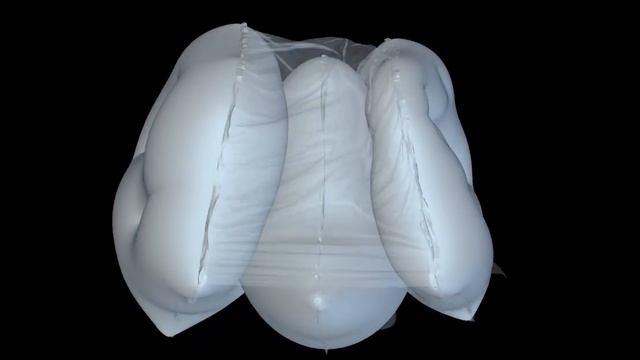 Трехсекционная подушка безопасности смотреть онлайн