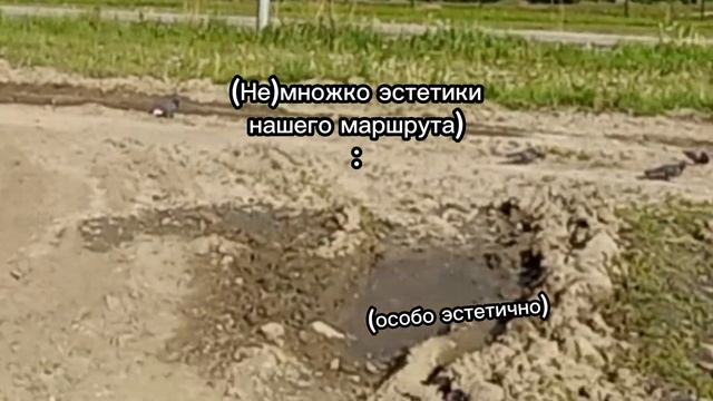 • #ХАСКИ •: гуляем С ДЖУЛЬЕТТОЙ | Встретили её друга! смотреть онлайн