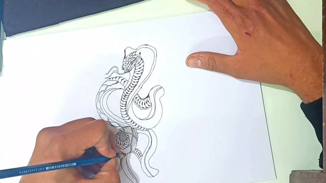 how to draw a snake sketch for beginners | pen sketch | by magneto. смотреть онлайн