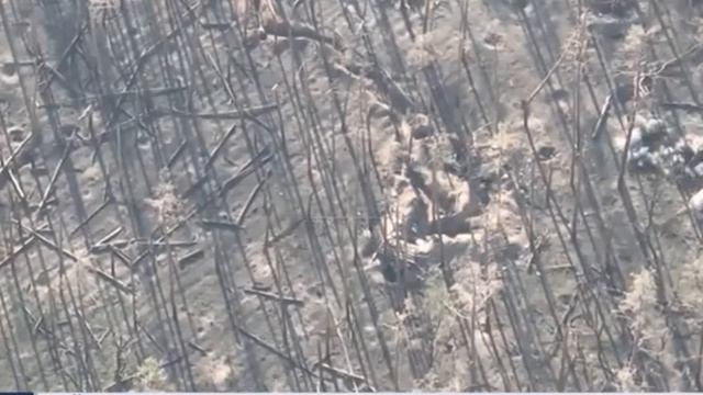 The Ukrainian Armed Forces concentrated their forces. смотреть онлайн