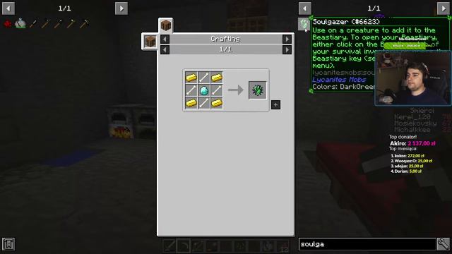 Najpotężniejszy pogromca smoków w całym RLCRAFT! ZAPRASZAM LIVE #254 смотреть онлайн