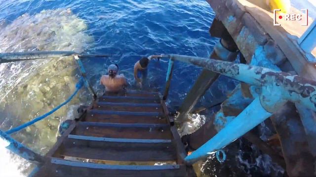 Sharm-El-Sheikh 2023, Sharm Reef***