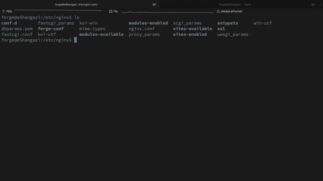 Building Yesaya Software Chatbot: Installation ya Rasa, Docker and Proxy Reverse Explained смотреть онлайн