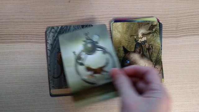 Fantasy Cats Oracle - 4k Flip Through смотреть онлайн