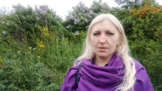 И.Бунин.Слово смотреть онлайн