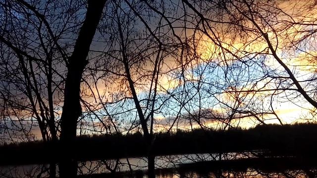 VID 20211114 161629 Когда заря смеркается... (Н. Рубцов)...Павел Васильев Лахтинский смотреть онлайн
