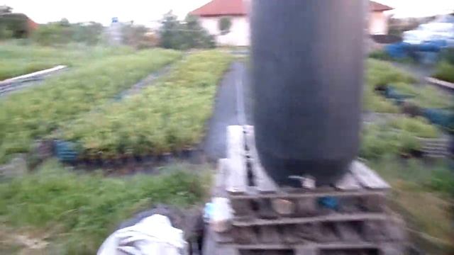 Наши саженцы голубики, для постоянных клиентов, на осень 2022 смотреть онлайн