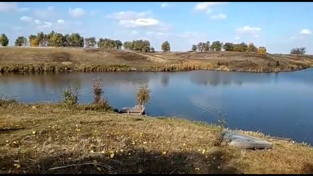 Подробный отчет о зарыблении форелью и осетром. Пруд Дальний раг смотреть онлайн