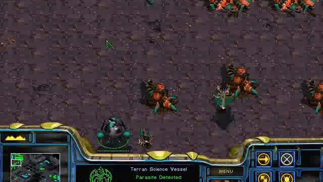 StarCraft Zerg Unit - Larva Matrix смотреть онлайн