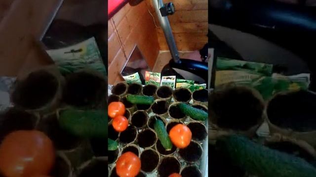 для Гуча эксклюзив смотреть онлайн