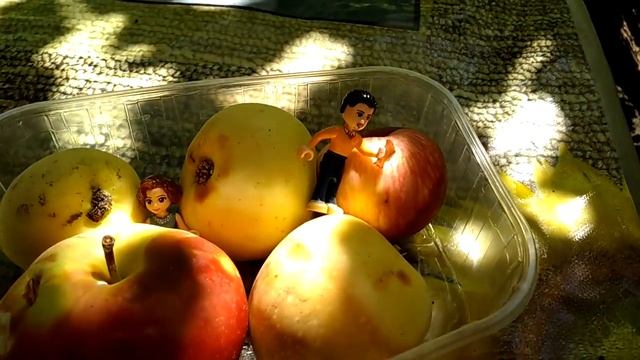 А я директор дачи смотреть онлайн