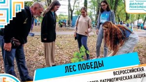 Лес Победы в Орленке.