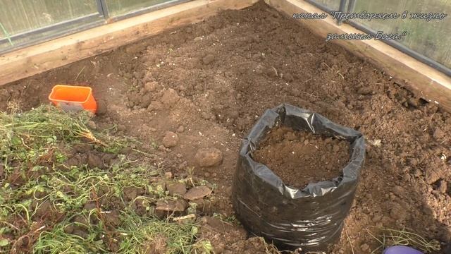Сеем морковь в мерзлую землю для раннего урожая смотреть онлайн