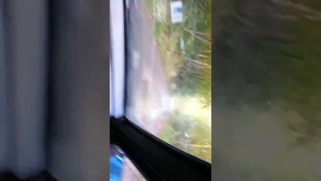 Рыбалка в Алексеевке смотреть онлайн