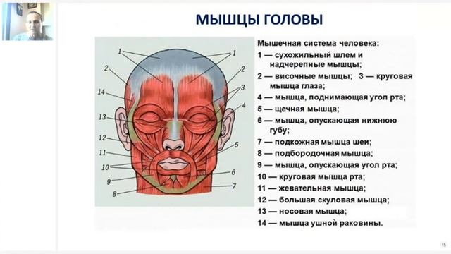 MN ночной крем. Сила личного бренда. 8.6.21г. Е.Мишина. А.Максутова. 5 встреча МОЛОДЕЙ и БОГАТЕЙ смотреть онлайн