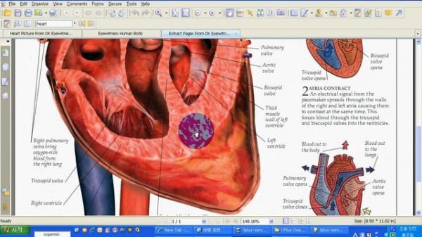 Foxit Phantom   How to extract, edit, and create a PDF
