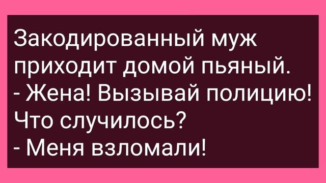 Барышня Собирается на Свидание с Корнетом! Сборник Свежих Смешных Жизненных Анекдотов! смотреть онлайн