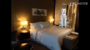 ⛓️☠️Страшилка вилд крафт...☠️⛓️"Отель"🏨