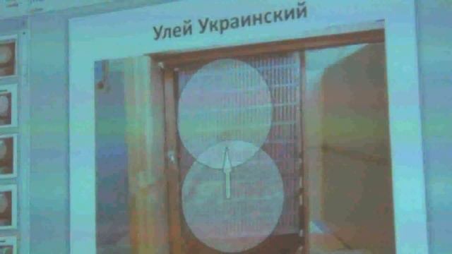 Конференция-семинар "Все про изоляцию маток" 20 октября 2018 г., г. Киев. часть 1 смотреть онлайн