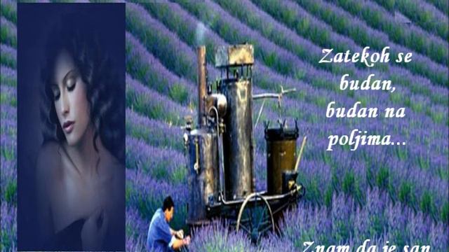 U poljima lavande смотреть онлайн
