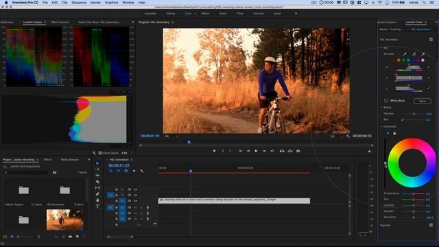 Change and Correct Specific Colors with HSL Secondary - Premiere Pro Tutorial смотреть онлайн