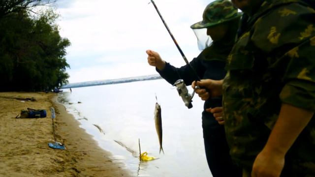 Рыбалка на волге на селёдку смотреть онлайн