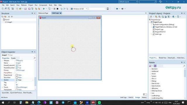 Image Background C++. Embarcadero.