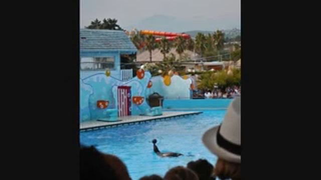 Переливы Смыслов