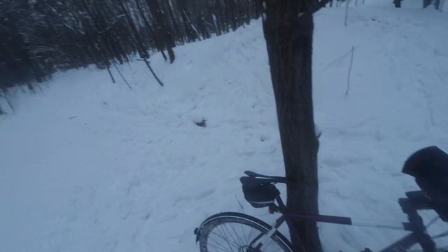 велопрогулка в химкинский лесопарк 13.01.2019 смотреть онлайн