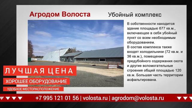 Где купить мясокомбинат смотреть онлайн