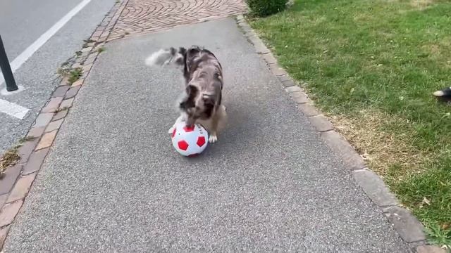 Проводы в армию | девушки в армии| семейный влог смотреть онлайн