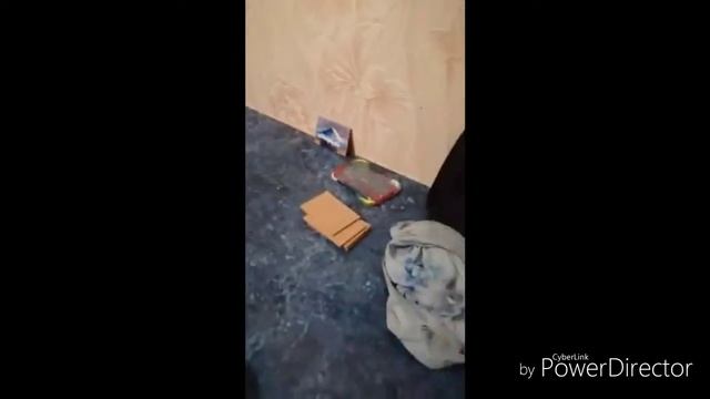 Мастер-класс. Рисование пальцами. Художник Влад Андреев смотреть онлайн