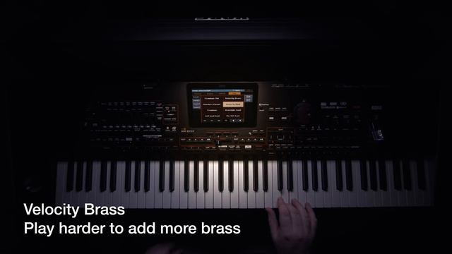 New Brass Band Voices For Korg Pa Arrangers смотреть онлайн
