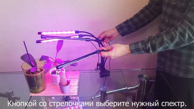 УФЛ Пользование. Инструкция по использованию фитолампы. смотреть онлайн