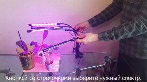 УФЛ Пользование. Инструкция по использованию фитолампы.