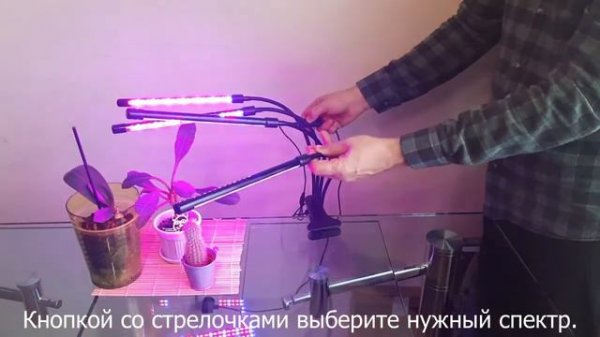 УФЛ Пользование. Инструкция по использованию фитолампы.