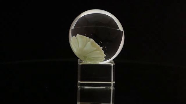 Стеклянный шар с цветком смотреть онлайн