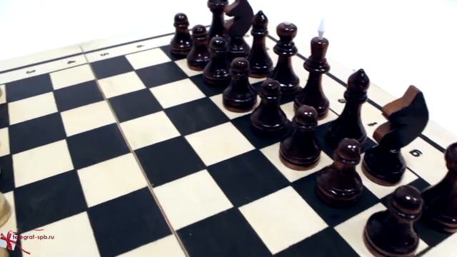 Шахматы, шашки и нарды 3 в 1 смотреть онлайн