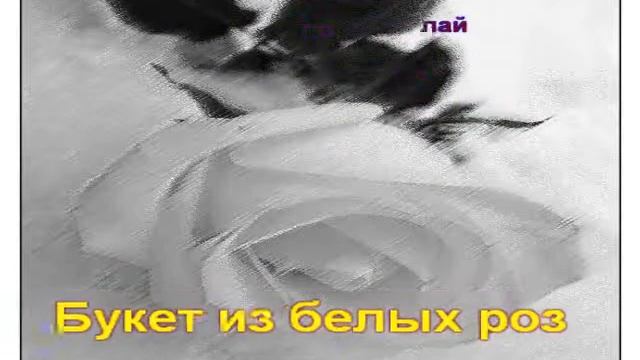 Букет из белых роз Караоке Хасан смотреть онлайн