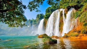 Сура Альхам