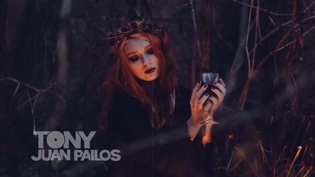 [FREE] GOTHIC METAL type beat - "Vampire 🦇 Valentine" - Type O Negative x HIM x VV смотреть онлайн