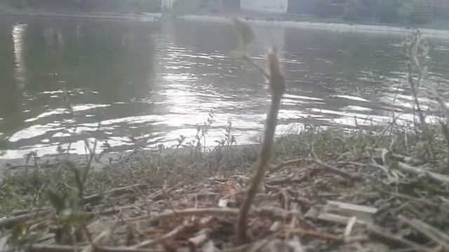 Ныряю в озеро смотреть онлайн