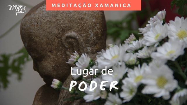 Animal e Espaço de Poder смотреть онлайн