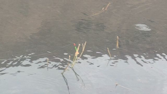 рибалка карас смотреть онлайн