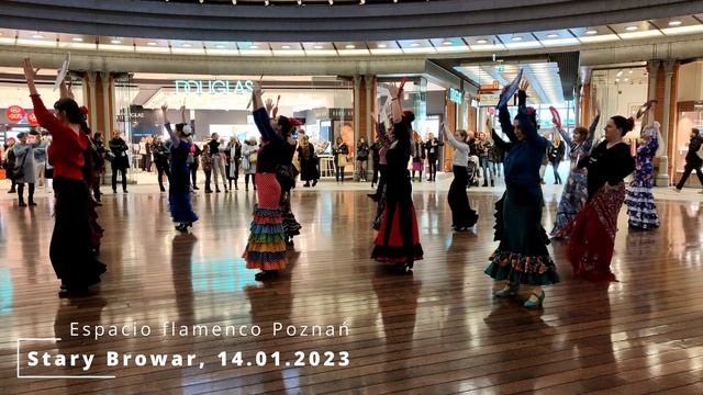 Flash mob ESPACIO flamenco - Stary Browar, Poznan 14.01.2023 смотреть онлайн