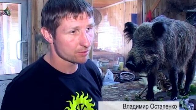 Студия Трофей г. Воронеж смотреть онлайн