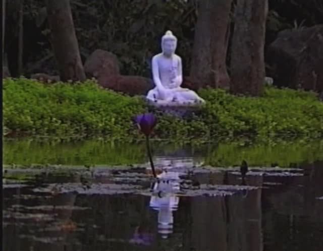 Медитация: искусство экстаза